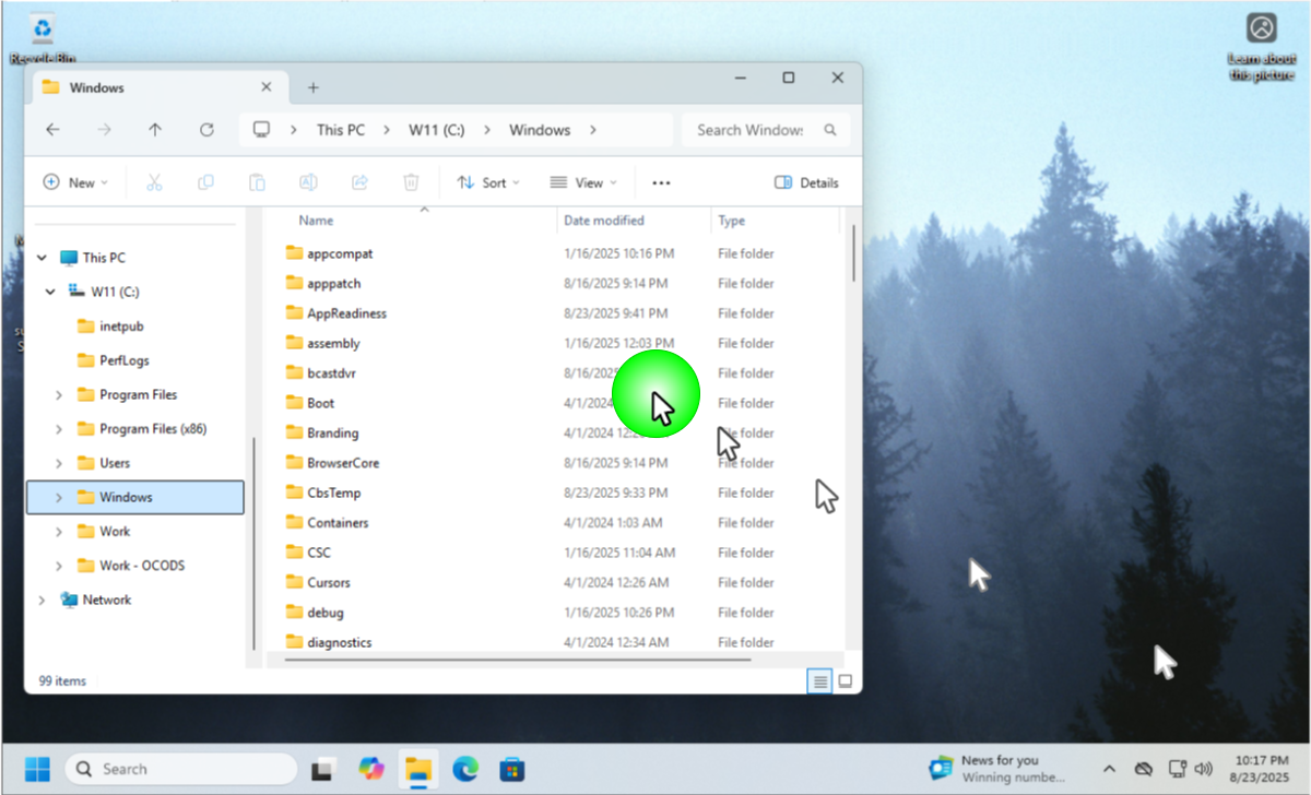 CallMouseCursor Windows